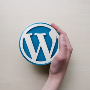 O que é Wordpress? E por que utilizar para o seu negócio?